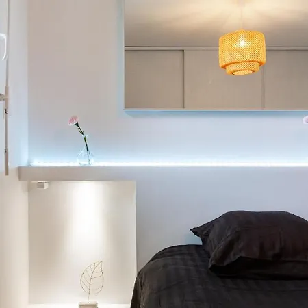 Apartment Luxury In Toulouse